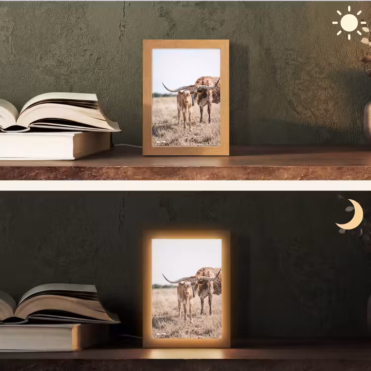 Texas Longhorn - Kalf - Weide - Dieren Light Box met kabel (Tafellamp) klein -sfeer3