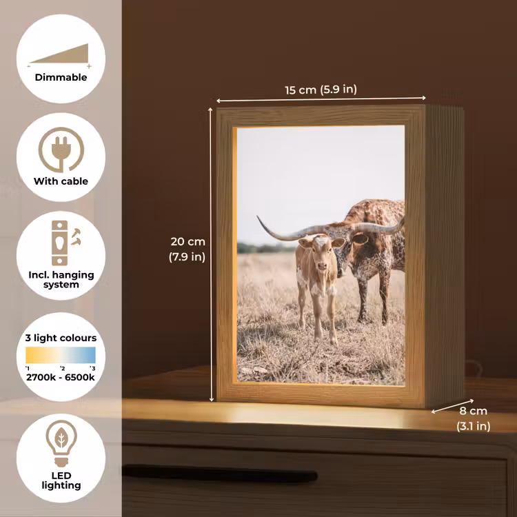 Texas Longhorn - Kalf - Weide - Dieren Light Box met kabel (Tafellamp) klein -USP_EN