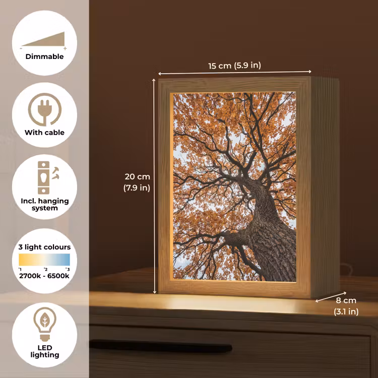 Boom - Bladerdak - Herfst - Oranje - Sfeervol Light Box met kabel (Tafellamp) klein -USP_EN