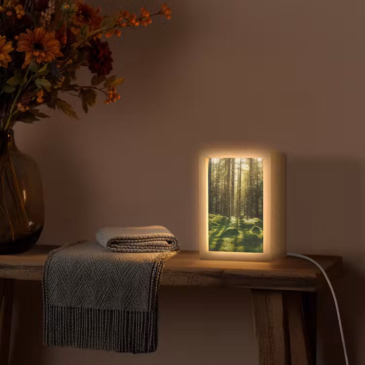 Bomen - Bos - Mos - Planten - Zon - Natuur Light Box met kabel (Tafellamp) klein -sfeer4