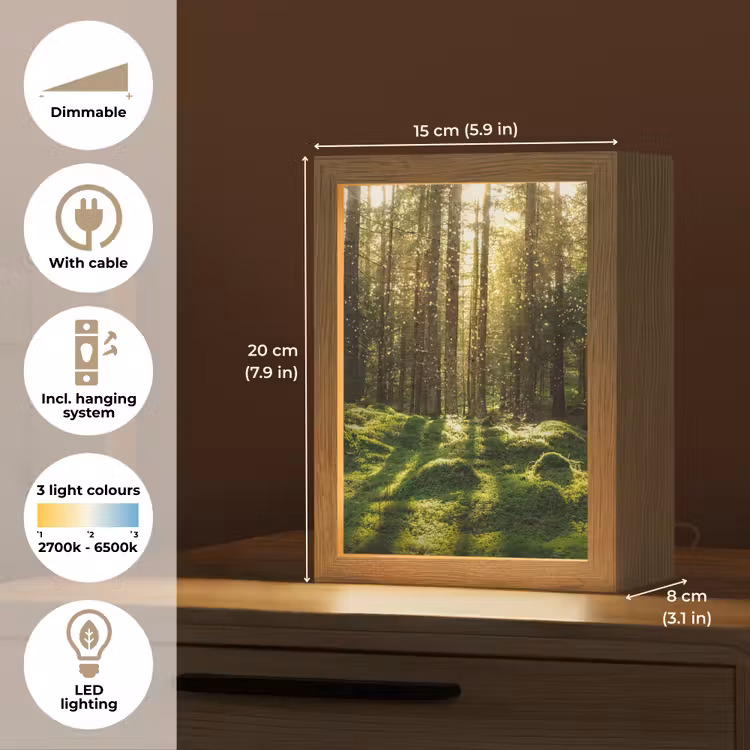 Bomen - Bos - Mos - Planten - Zon - Natuur Light Box met kabel (Tafellamp) klein -USP_EN