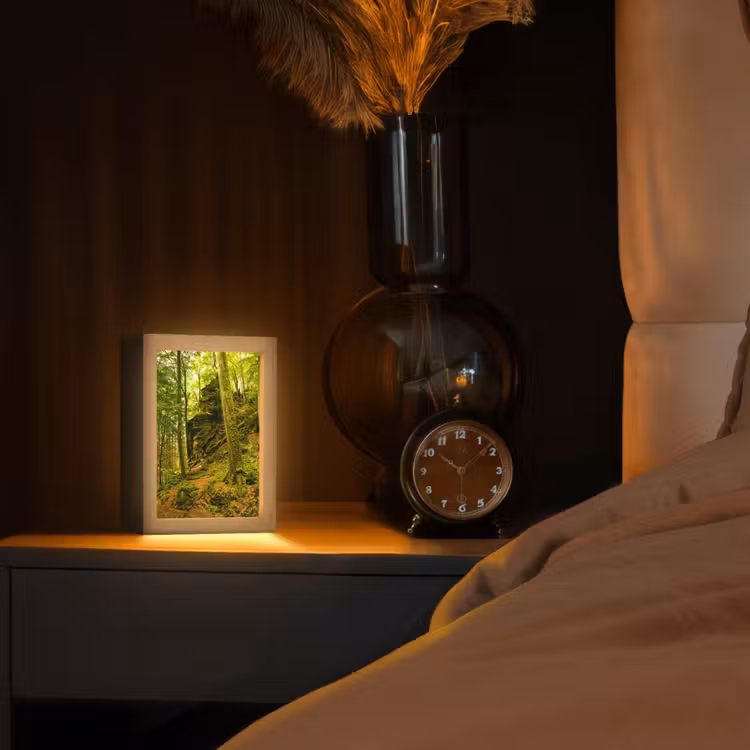 Bomen - Steen - Bos - Natuur - Planten Light Box met kabel (Tafellamp) klein -sfeer1