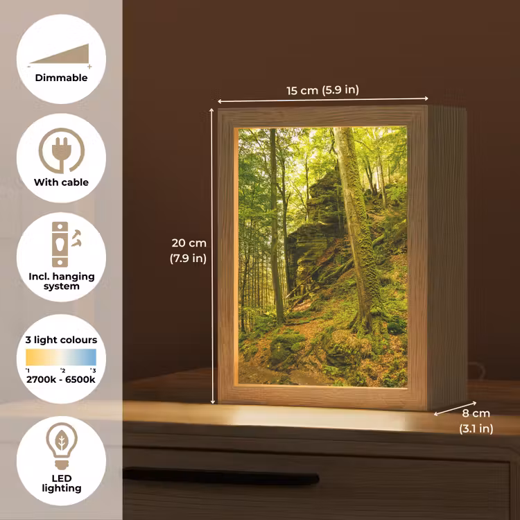 Bomen - Steen - Bos - Natuur - Planten Light Box met kabel (Tafellamp) klein -USP_EN