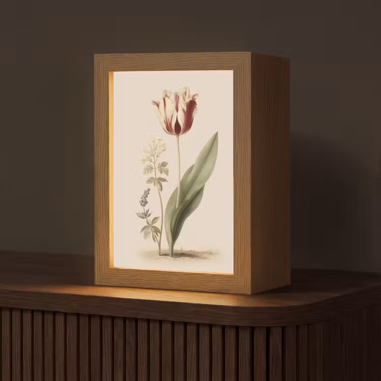 Tulp - Minimalistisch - Beige Light Box met kabel (Tafellamp) klein -z3d_website