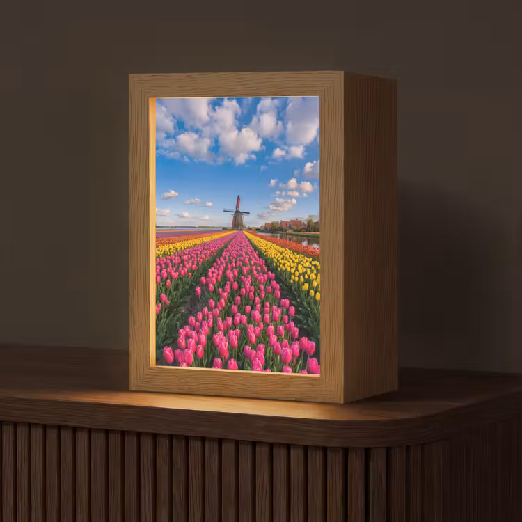 Tulpen - Holland - Molen - Kleurrijk Light Box met kabel (Tafellamp) klein -z3d_website