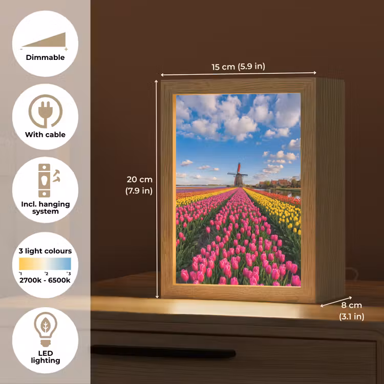 Tulpen - Holland - Molen - Kleurrijk Light Box met kabel (Tafellamp) klein -USP_EN