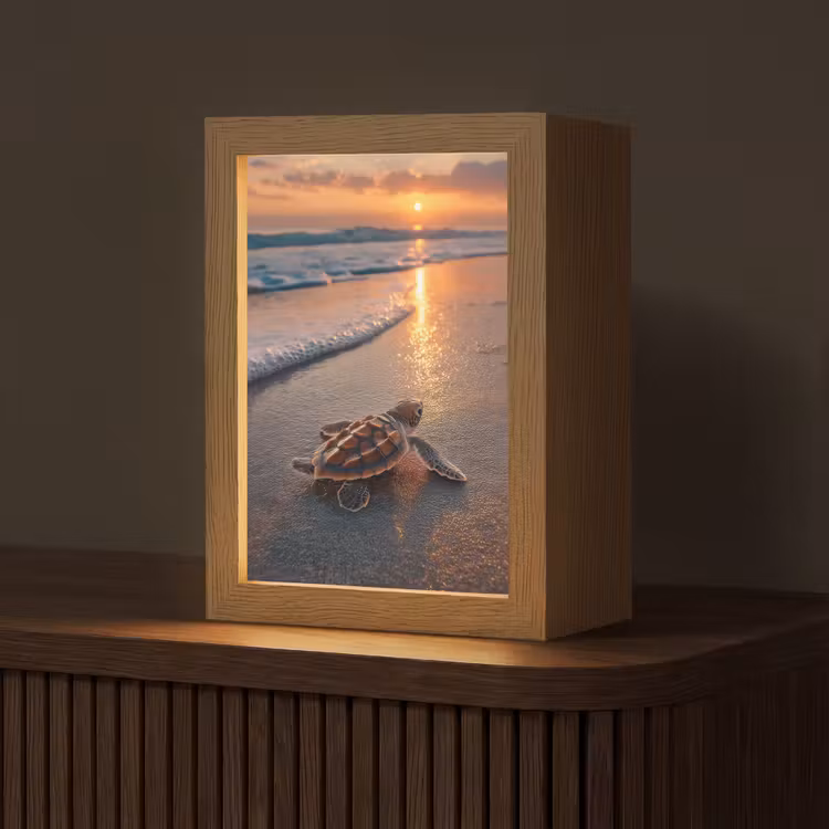 Schildpad - strand - Zonsondergang Light Box met kabel (Tafellamp) klein -z3d_website