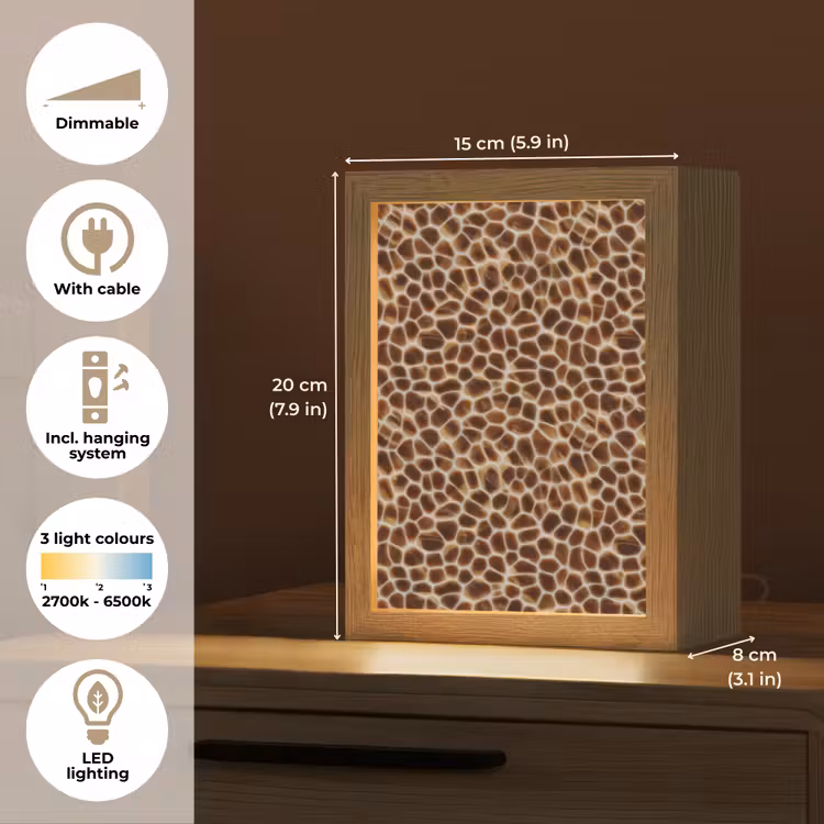 Schildpad - Patroon - Bruin Light Box met kabel (Tafellamp) klein 925 -USP_EN