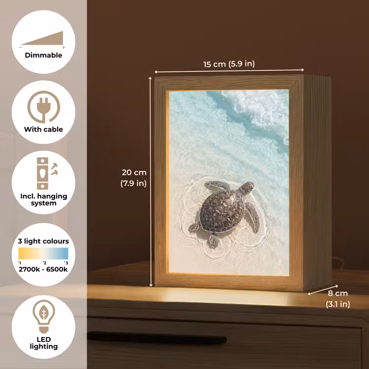 Schildpad - Helder water - Strand - Dieren - Natuur Light Box met kabel (Tafellamp) klein -USP_EN