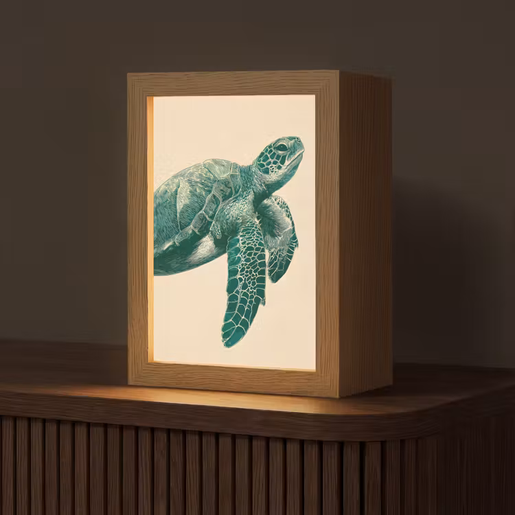 Schildpad - Sierlijk - Groen - Schild Light Box met kabel (Tafellamp) klein -z3d_website