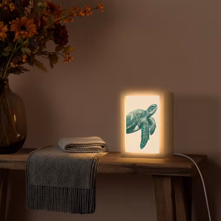 Schildpad - Sierlijk - Groen - Schild Light Box met kabel (Tafellamp) klein -sfeer4