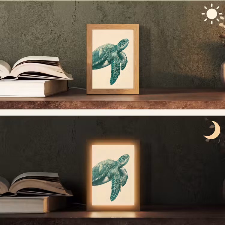 Schildpad - Sierlijk - Groen - Schild Light Box met kabel (Tafellamp) klein -sfeer3