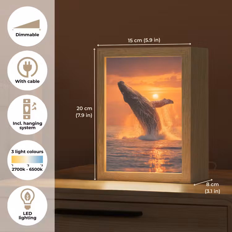 Walvis - Zon - Zee Light Box met kabel (Tafellamp) klein -USP_EN