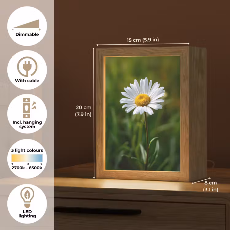 Wit - Madeliefje - Bloem - Gras Light Box met kabel (Tafellamp) klein -USP_EN