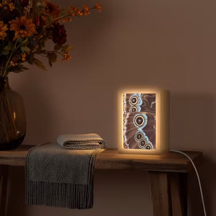 Vleugels - Vlinder - Blauw Light Box met kabel (Tafellamp) klein -sfeer4