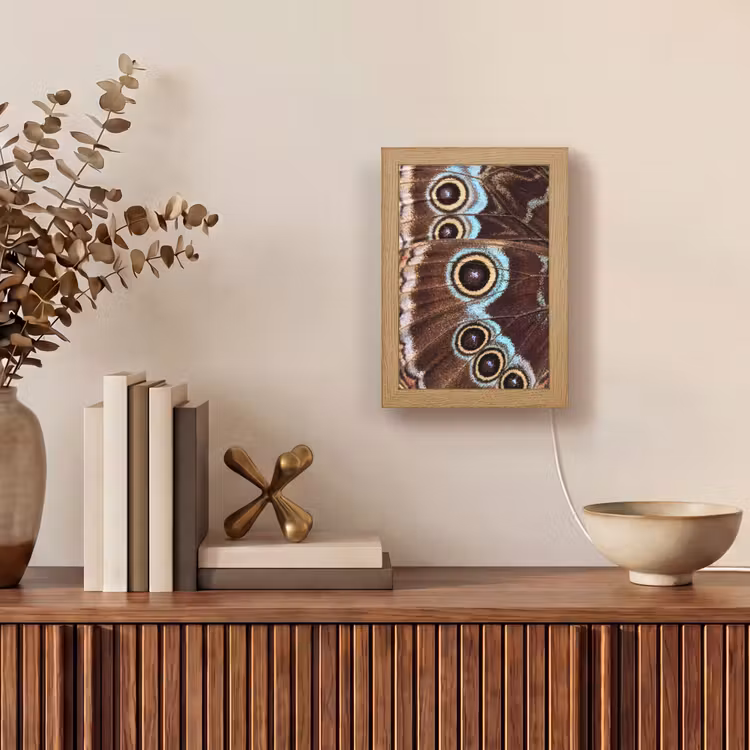 Vleugels - Vlinder - Blauw Light Box met kabel (Tafellamp) klein -sfeer2