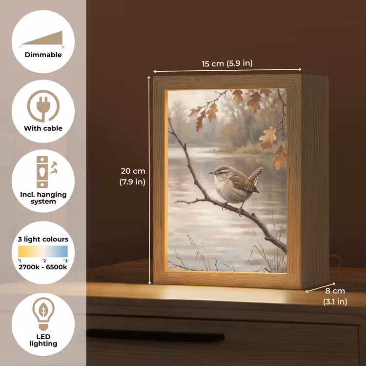 Winterkoninkje - Tak - Rivier - Natuur - Sfeervol Light Box met kabel (Tafellamp) klein -USP_EN