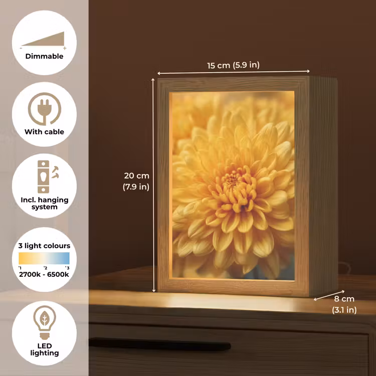 Geel - Chrysant - Zachtheid Light Box met kabel (Tafellamp) klein -USP_EN