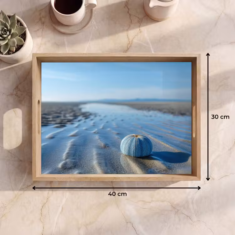 Strand - Schild - Water - Blauw Dienblad Rechthoek middel -USP_Formaat