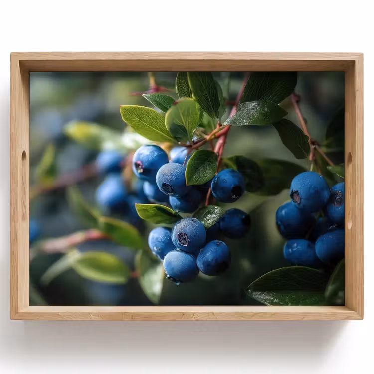 Blauwe bessen - Dauwdruppels - Natuurlijk licht Dienblad Rechthoek middel -z3d_shopping