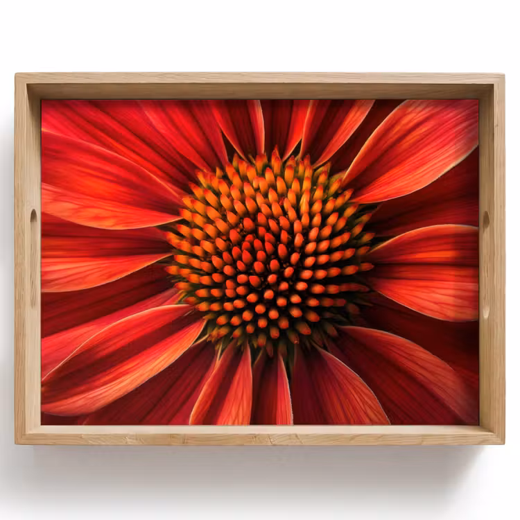 Close up - Bloem- Rood Dienblad Rechthoek middel -z3d_shopping