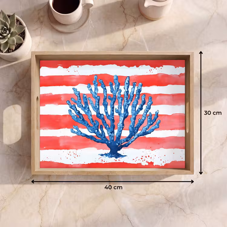 Koraal - Verfstructuur - Rood - Blauw Dienblad Rechthoek middel -USP_Formaat