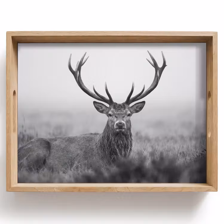 Hert - Mistig - Zwart - Wit Dienblad Rechthoek middel -z3d_shopping