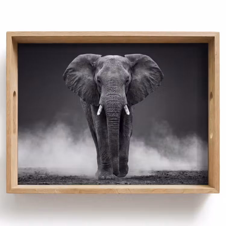 Olifant - Zwart - Wit - Rook Dienblad Rechthoek middel -z3d_shopping