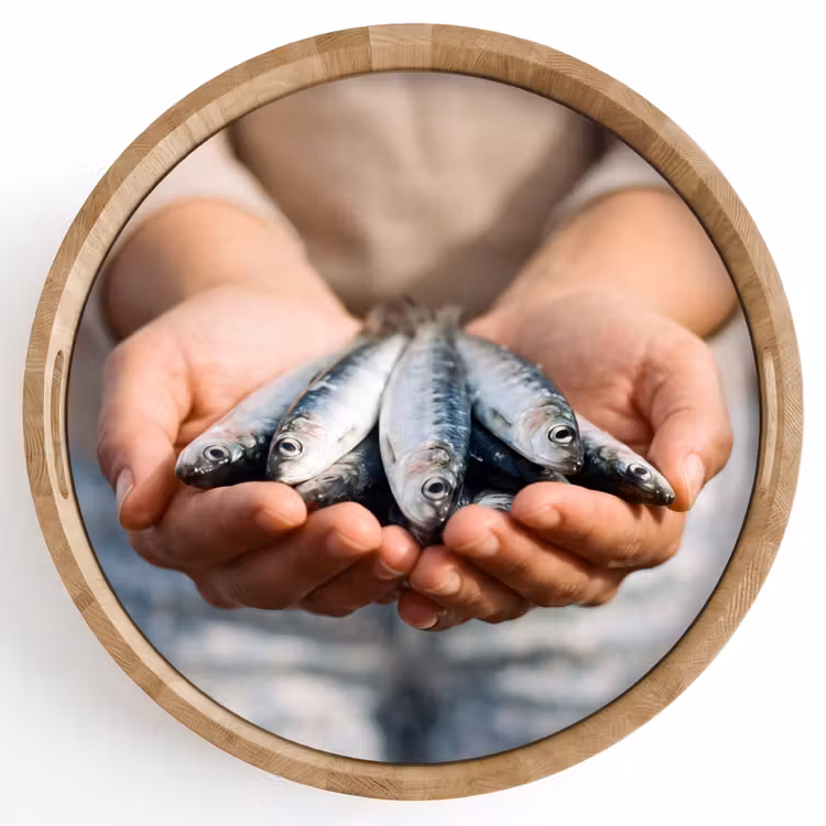 Tray - Fish - Hands - Nature - Vis - Handen - Natuur Dienblad Rond middel