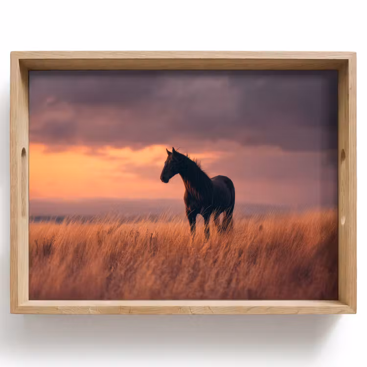 Paard - Wolken - Open veld Dienblad Rechthoek middel -z3d_shopping