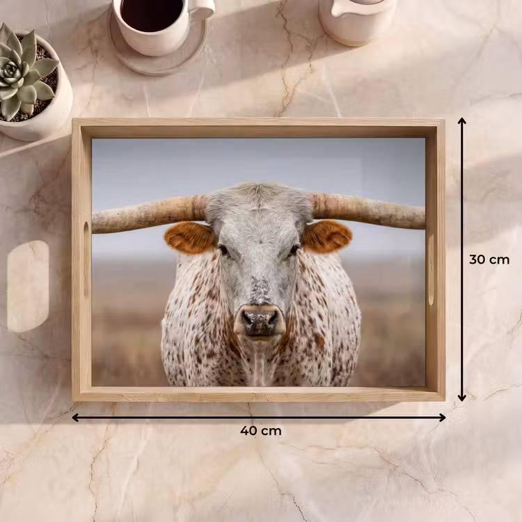 Longhorn - Grasveld - Dier Dienblad Rechthoek middel -USP_Formaat
