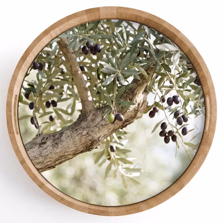 Tray - Olive tree - branch - green - Olijfboom - tak - groen Dienblad Rond middel