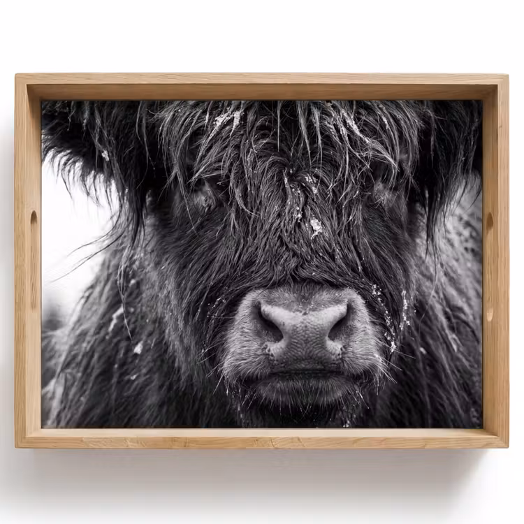 Schotse hooglander - Zwart - Wit - Sneeuwvlokken Dienblad Rechthoek middel -z3d_shopping