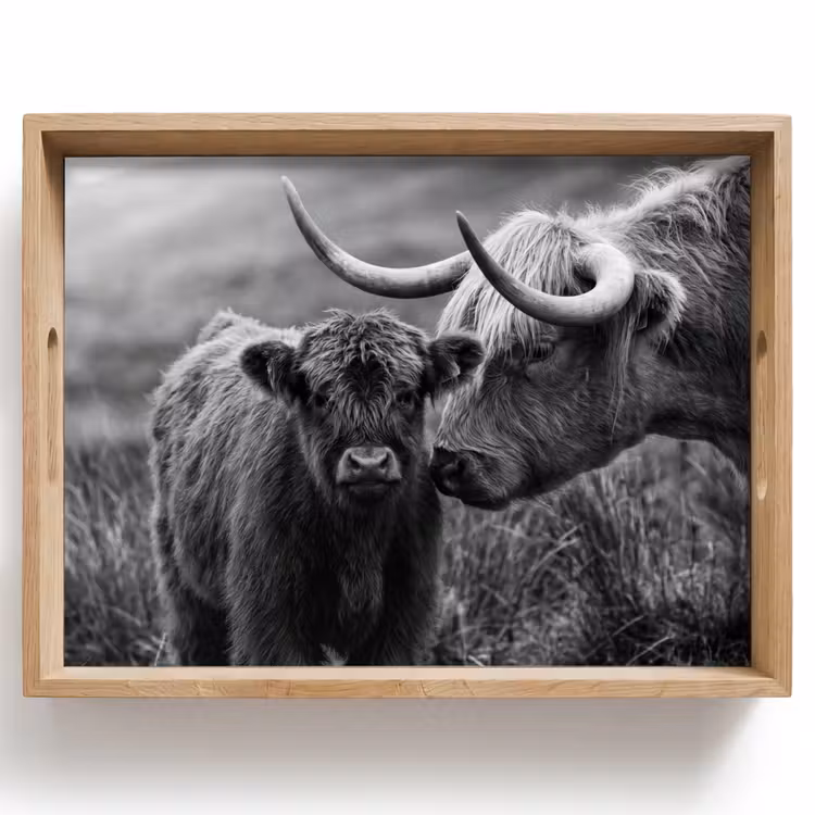 Schotse hooglander - Kalf - Zwart - Wit Dienblad Rechthoek middel -z3d_shopping