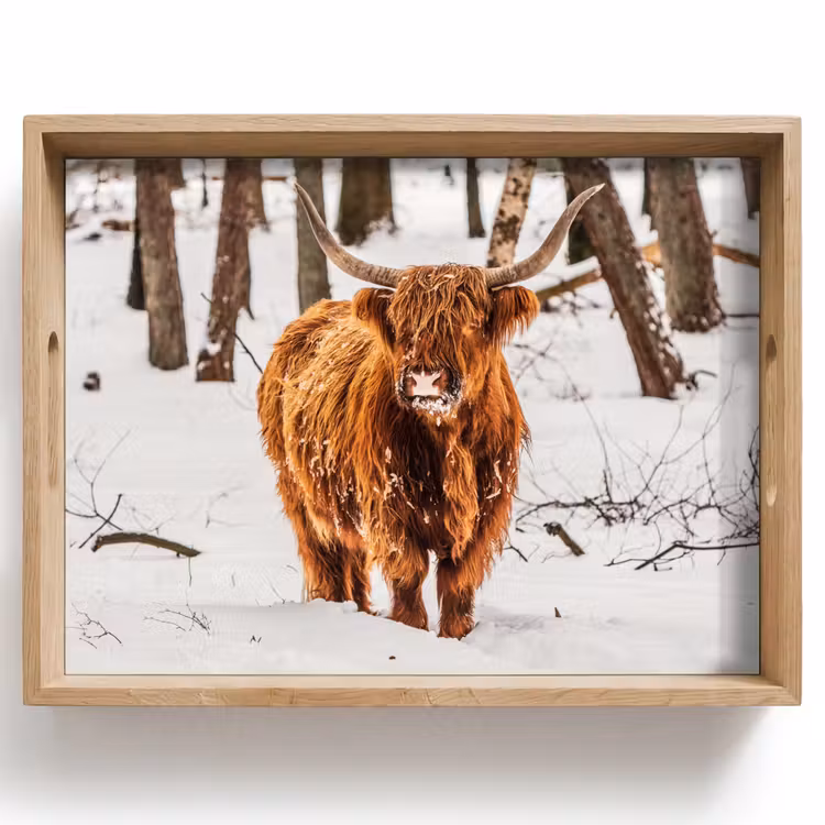 Schotse Hooglander - Sneeuw - Winter - Natuur - Dieren Dienblad Rechthoek middel -z3d_shopping