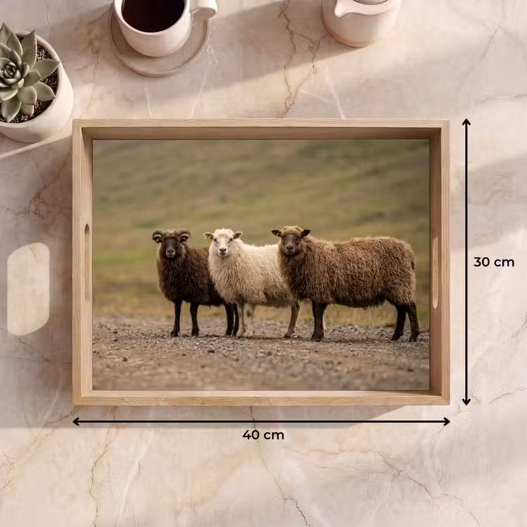 Schapen - Bruin - Wit - Grindpad Dienblad Rechthoek middel -USP_Formaat