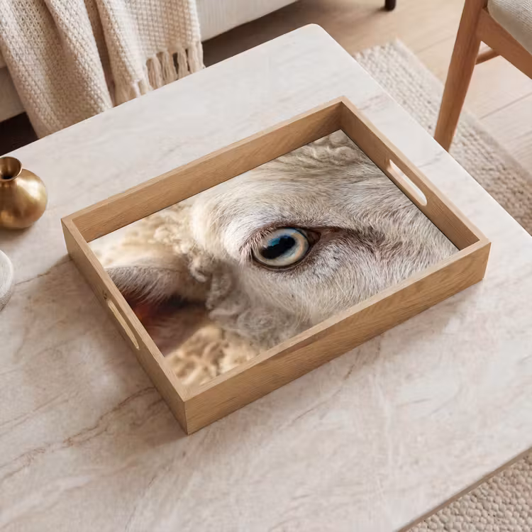 Schaap - Oog - Wit Dienblad Rechthoek middel -sfeer1