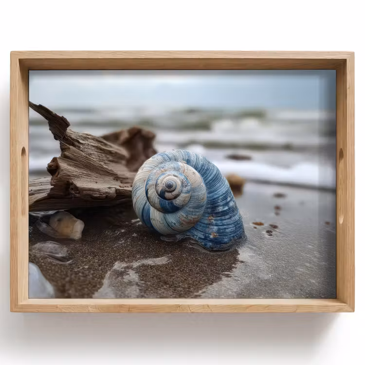 Schelp - Strand - Blauw - Zee Dienblad Rechthoek middel -z3d_shopping