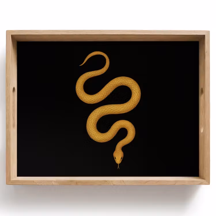 Slang - Minimalistisch - Goud Dienblad Rechthoek middel -z3d_shopping