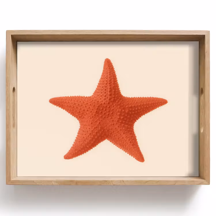 Zeester - Bobbels - Rood Dienblad Rechthoek middel -z3d_shopping