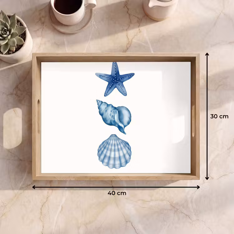 Zeester - Schelpen - Blauw Dienblad Rechthoek middel -USP_Formaat
