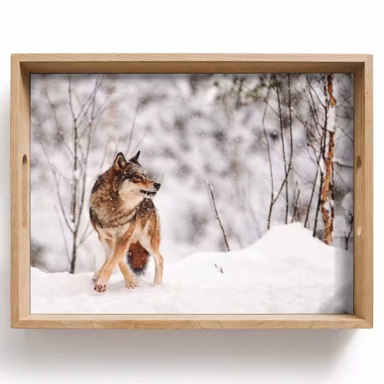 Wolf - Winter - Sneeuw - Natuur - Dieren Dienblad Rechthoek middel -z3d_shopping