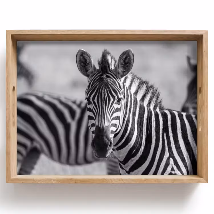 Zebra's - Zwart - Wit Dienblad Rechthoek middel -z3d_shopping