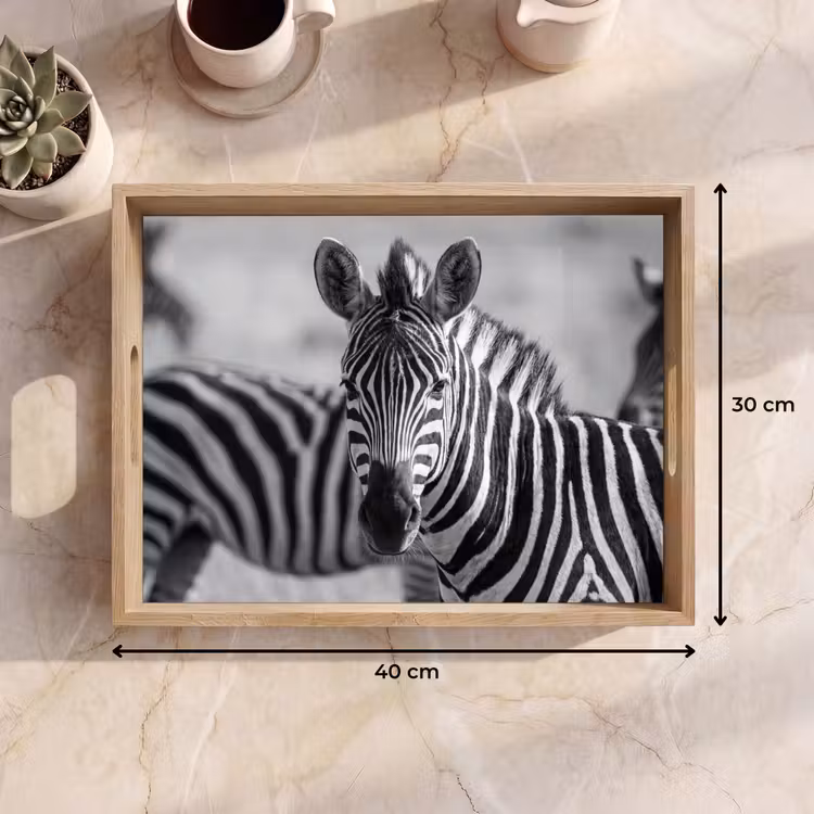 Zebra's - Zwart - Wit Dienblad Rechthoek middel -USP_Formaat