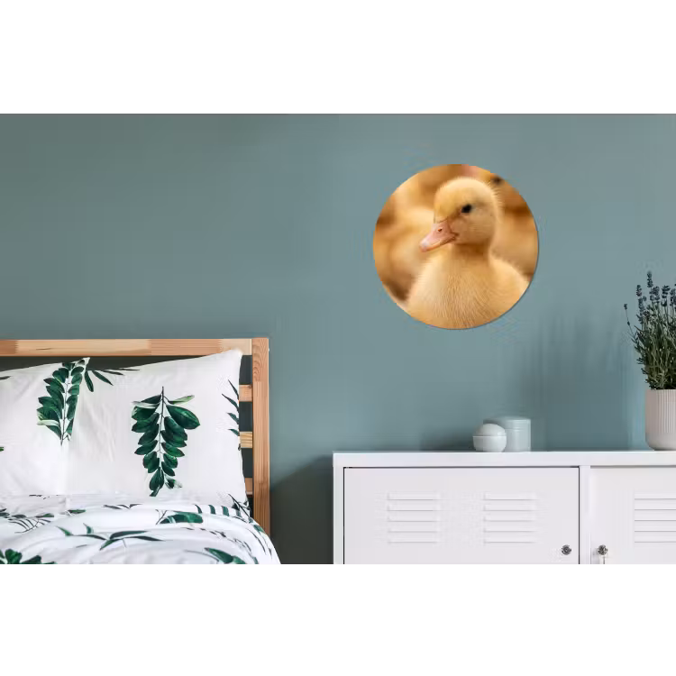 Pijltje - Eend - Natuur - Geel Wandcirkel aluminium klein -slaapkamer