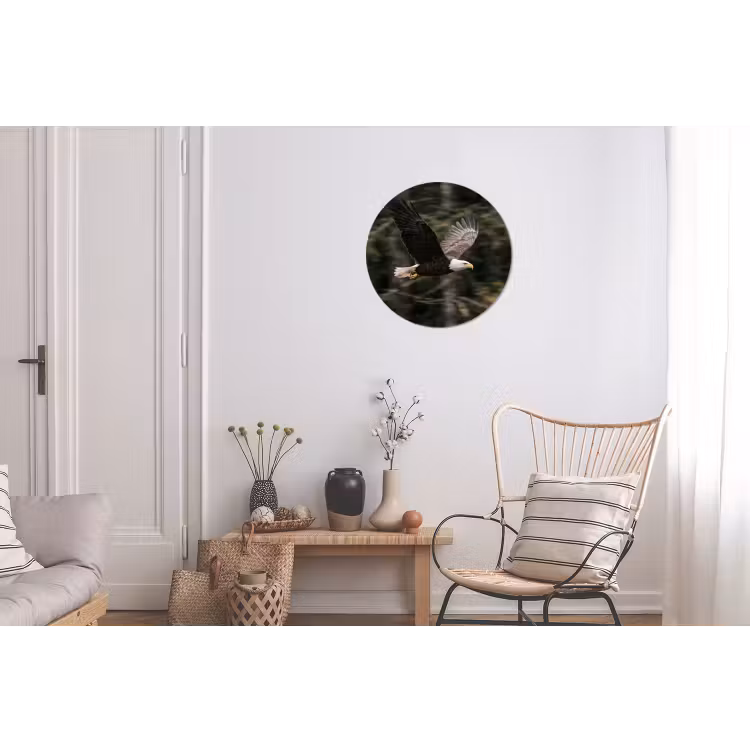 Zeearend - Vliegen - Bos - Natuur Wandcirkel aluminium klein -woonkamer