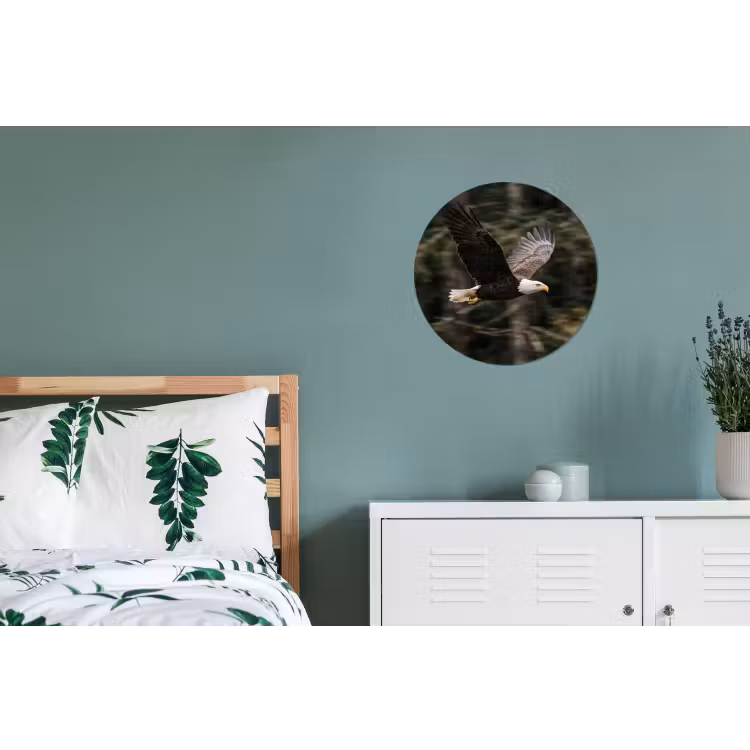 Zeearend - Vliegen - Bos - Natuur Wandcirkel aluminium klein -slaapkamer
