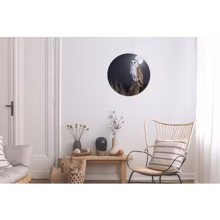 Kerkuil - Maan - Nacht Wandcirkel aluminium klein -woonkamer