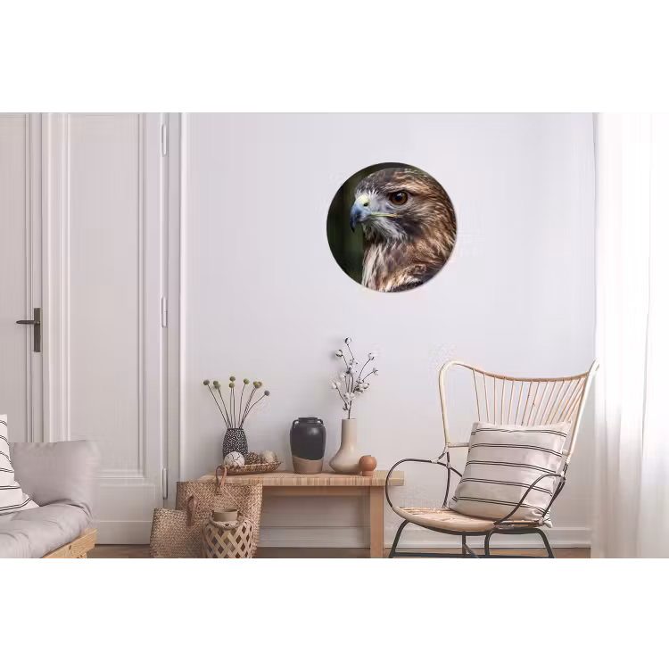 Buizerd - Roofvogel - Natuur - Bruin Wandcirkel aluminium klein -woonkamer