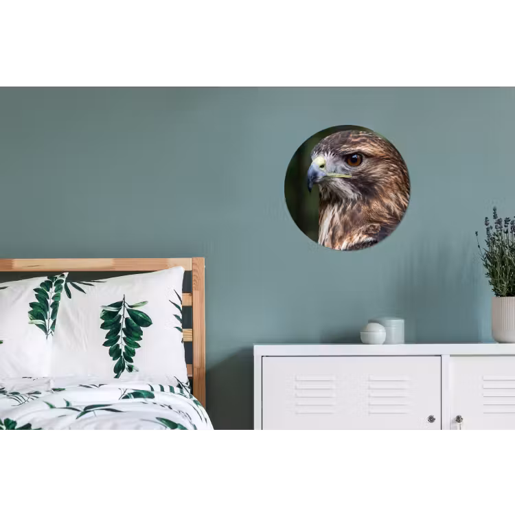 Buizerd - Roofvogel - Natuur - Bruin Wandcirkel aluminium klein -slaapkamer